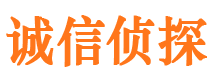 遂宁市侦探调查公司